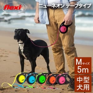 �ե쥭�� Flexi �꡼�� �淿�� ���̥꡼�� ���� �˥塼�ͥ��� �ơ��ץ����� M������ 5m �淿���� �˥塼�ͥ���ơ��� CL21T5 New Neon Tape ������꼰 �ɥå��꡼�� ���꡼�� ȿ�� �ڥå����� ��