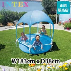 ס ƥå Intex ӥˡס Υԡ ե졼ס 褱 W183  D38 Υԡ ᥿ե졼 28209 CANOPY METAL FRAME POOL դס  緿ס 