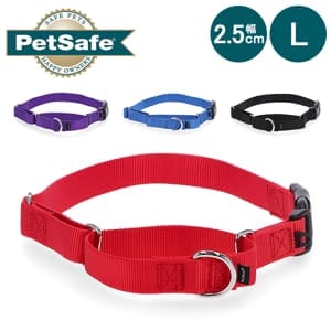 �ڥåȥ����� Petsafe ���� �ʥ�����ޡ����󥲡��� L������ 2.5cm�� Martingale Collar with Quick-Snap Buckle �緿�� �ʥ����� �����å����ʥåץХå��� ����ĥ���ɻ� ��