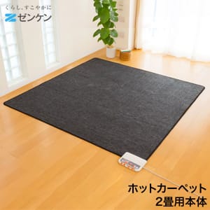 ���󥱥� Zenken �ۥåȥ����ڥå� 2�������ΤΤ� ZCB-20S �ŵ������ڥå� �ۥåȥޥå� �ŵ��ޥå� �����ޡ��դ� ���å������ ����ۥåȥ����ڥå� �����к� �¤꿴�� �Ȥ��� �ɴ� �� �ʥ��� ������ ��