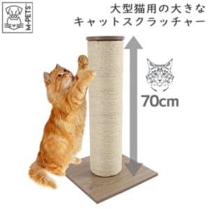 M-Pets ����ڥå� ��������åȥ���åȥ�����å��㡼 �ޤȤ� ǭ ǭ�� ����åȥ�� ���� ������� ����ץ� ����ƥꥢ �ʥ��ڡ��� �����֤� ��鴶 �ݡ��� Scarlet Cat Scratcher petifam �ڥƥ��ե����� ��