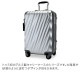 �ȥ��� TUMI �����ĥ����� 35L 4�� 19 Degree Aluminum ������ͥ󥿥롦����꡼���� 036861SLV2 ����С� ����꡼������ ����꡼�Хå� ��