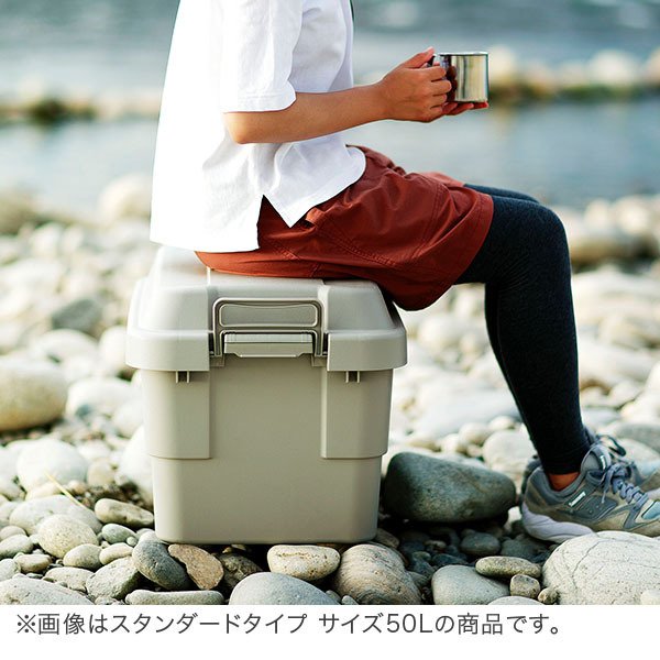 トランクカーゴ RISU 収納ボックス 2個セット 収納ケース アウトドア