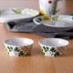 �����륹�ȥ��� Rorstrand Kulinara ����ʥ� Bowl 2pc set �ܥ���SS 2�ĥ��å� 100ml 202418 �̲� ���������ǥ� ������