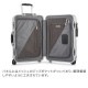 �ȥ��� TUMI �����ĥ����� 31L 4�� 19 Degree Aluminum ���󥿡��ʥ���ʥ롦����꡼���� 036860SLV2 ����С� ����꡼������ ����꡼�Хå� ��