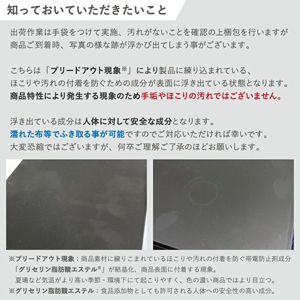 ソロウ SOLOW ゴミ箱 ごみ箱 ダストボックス 45L ペダルオープンツイン 