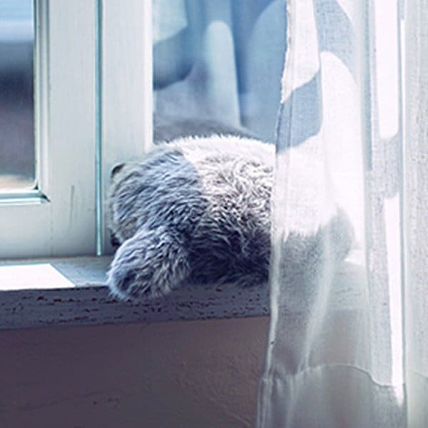 プチクーボ クーボ Petit Qoobo しっぽ クッション ペット ロボット