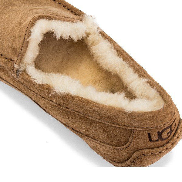  UGG ⥫ å ASCOT  1101110 åݥ ץ ܳ ǥå塼 ࡼȥ ȥꥢ եåȥ塼LEISURE 