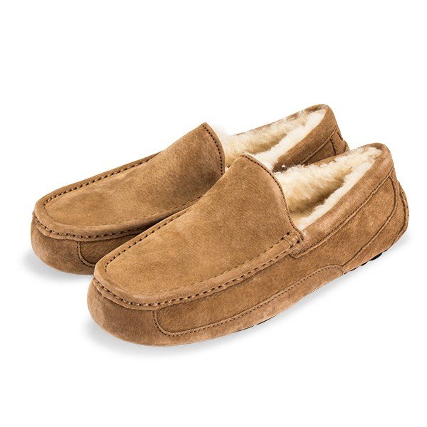  UGG ⥫ å ASCOT  1101110 åݥ ץ ܳ ǥå塼 ࡼȥ ȥꥢ եåȥ塼LEISURE 