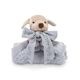 �ڹ��⸡�˺ѡۥ٥��եåȥɥ꡼�ॹ BAREFOOT DREAMS �֥�󥱥å� 38��43cm �����������å� �٥��եå� �Хǥ� 505 CozyChic Barefoot Buddie �٥ӡ� ��