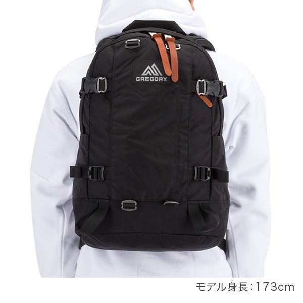 グレゴリー GREGORY リュック デイパック ALL DAY V2.1
