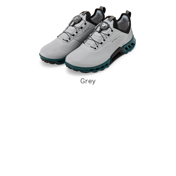 ECCO BIOM C4 ゴアテックス ゴルフシューズ グレー 39 ECCO Golf BIOM C4 Men メンズ レザーGore-Texゴルフシューズ
