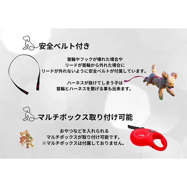 フレキシ Flexi リード 小型犬 伸縮リード 犬用 ニュークラシック