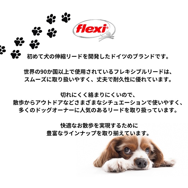 犬　スヌーピー　ペット用品　リード　 flexi 中型犬用　Mサイズ　レア 62716896_1.jpg