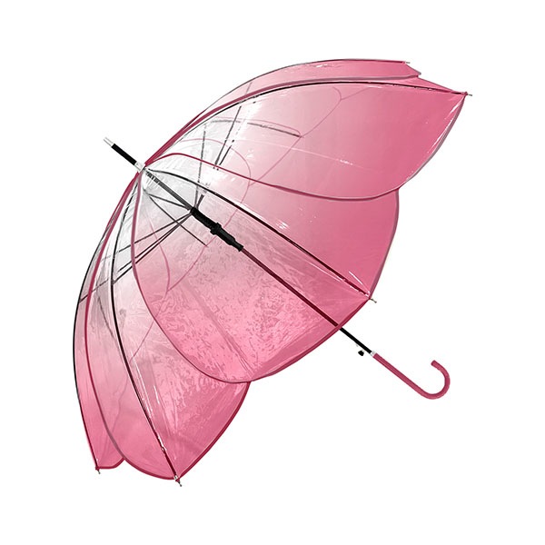 4_000000016121.jpg?1699927444