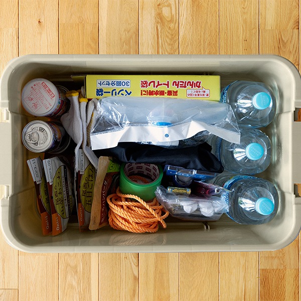 数量限定】トランクカーゴ RISU 収納ボックス 収納ケース アウトドア