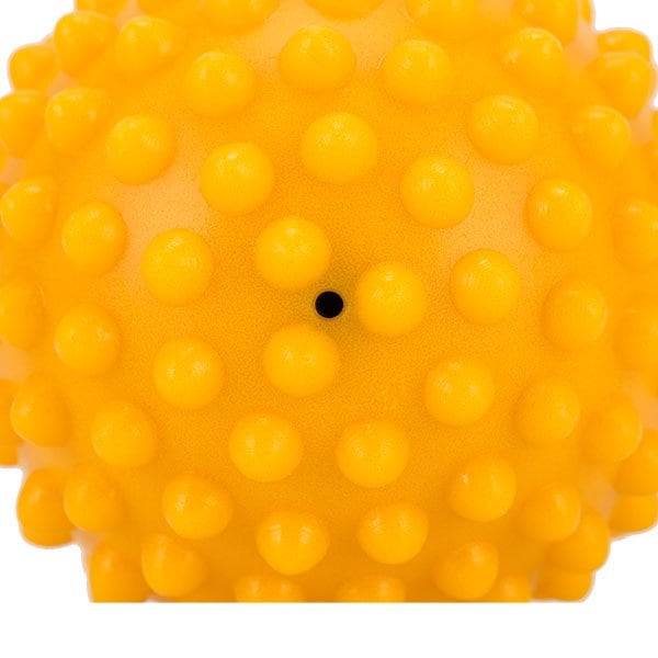 ギムニク 触覚ボール 10 Gymnic ソフトタイプ 10cm センシーボール 2個