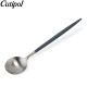 �����ݡ��� Cutipol GOA ���� �ǥ����ȥ��ס��� �֥롼 Dessert spoon Blue Stainless ���ƥ�쥹 ���ȥ�꡼ ��