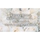 �����å����å� WEDGWOOD ���դ� �ޥ� �磻��ɥ��ȥ��٥꡼ ����Ȣ���� �ޥ����å� ���� �����ҡ� ���� ���� ���ȥ�꡼ ���å��� ������� �֥��� 40033825 Wild Strawberry LIDDED MUG ��