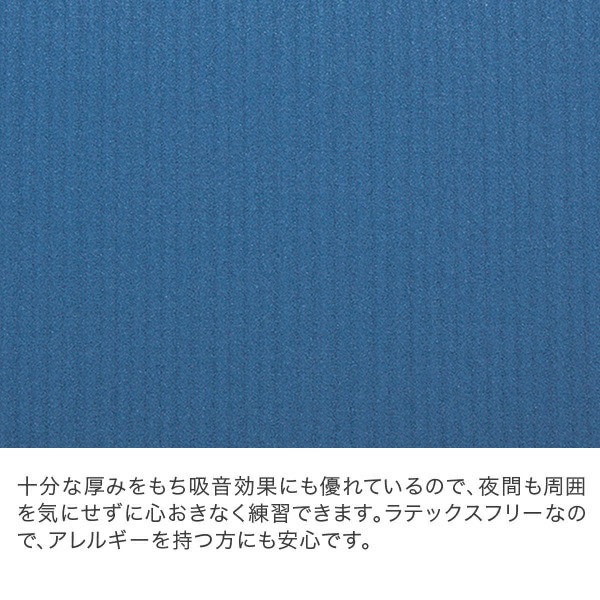 ヨガマット マンドゥカ Manduka 6mm プロ スタンダード Pro Standard