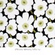 �ޥ��å� Marimekko �ե��֥�å� ���� 10cmñ�� �ڤ���� ����� �ԥ��˥��˥å� �� ���åȥ� ����ƥꥢ �̲� ����