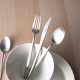 Cutipol �����ݡ��� DUNA BRUSHED �ǥ�ʥ֥�å���� Coffee spoon �����ҡ����ס��� Silver ����С� ���ȥ�꡼ 5609881390405 DU11F ������ ��