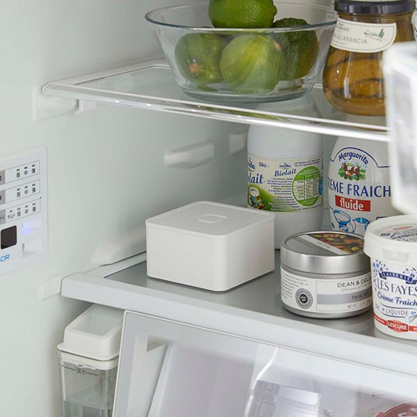 Хդ̩ĥܥå   ¶ tower Ȣ Хդ ǥ å ̩ ¸ƴ Żҥб б ¸ ̩ ץ ۥ磻 ֥å 5411 5412 Υȡ