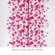 �ޥ��å� Marimekko �ե��֥�å� ���� ��ߥޥ�� 60cmñ�� �ڤ���� ����� �� ���åȥ� ����ƥꥢ �̲� ���� ���襤��