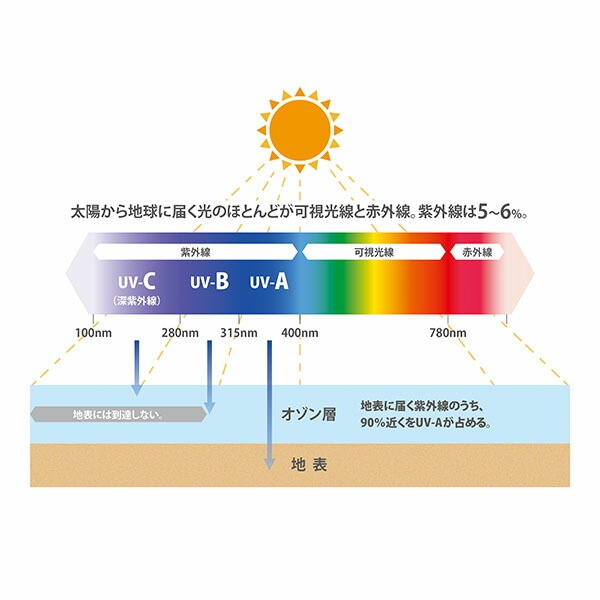 サンカ SANKA UV-C 除菌 空気 清浄機 17畳用 SAP-4100 ホワイト