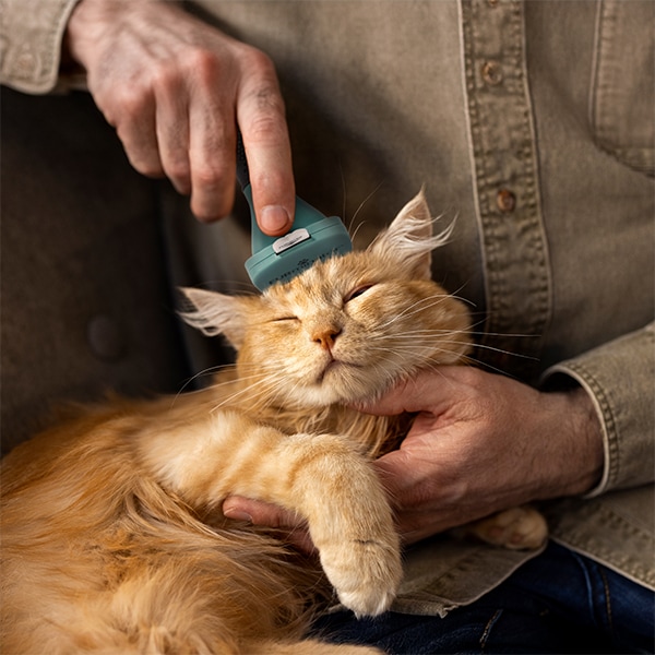 ファーミネーター Furminator ペット専用ブラシ Sサイズ 小型猫