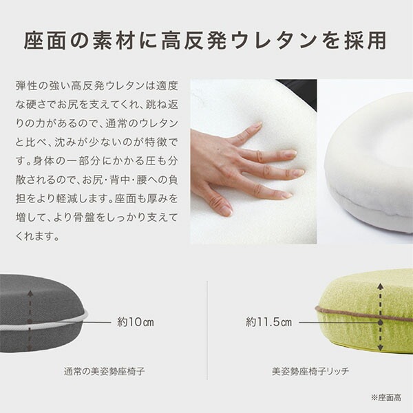 背筋がGUUUN 美姿勢座椅子 リッチ 腰痛 座椅子 クッション