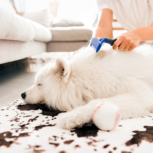 FURminator 長毛犬用 Lサイズ 抜け毛除去 楽天市場】☆送料無料☆【正規品】ファーミネーター 長毛用 L