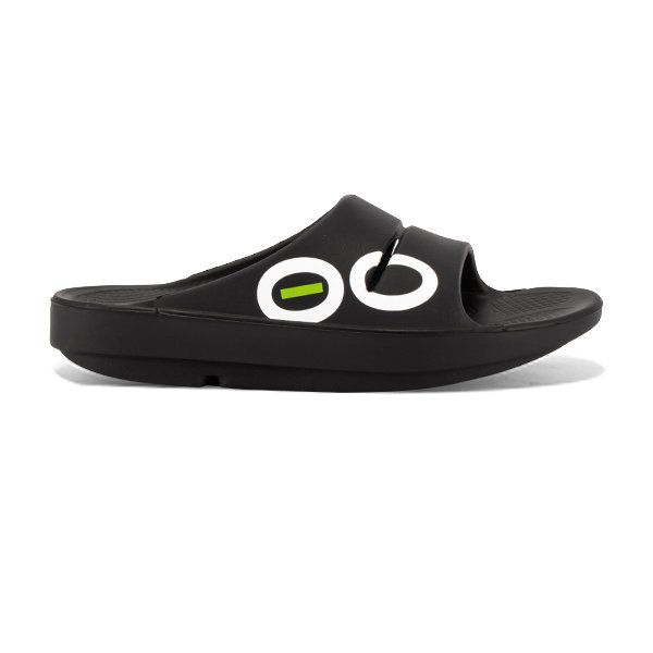 ハナウタ　オーボエリード　4本セット ハナウタ オーボエリード 4本セット 楽天市場】オーボエ リード