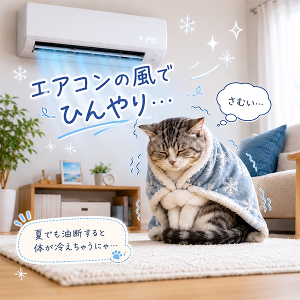 リヴィーズ livease PET用適温自動給水器 PWF-011WB 自動補水 ペット用