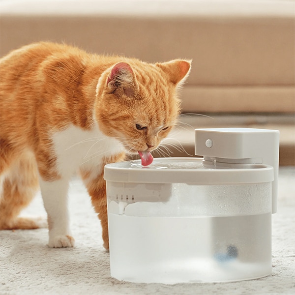 リヴィーズ livease PET用適温自動給水器 PWF-011WB 自動補水 ペット用