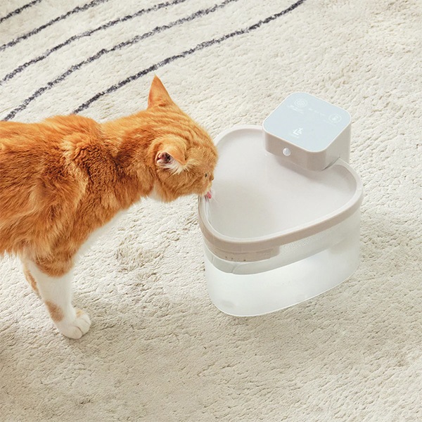 livease リヴィーズ 温水 自動給水器 PET用適温自動給水器 猫 Livease リヴィーズ Pet用適温自動給水器/海外×/おまけ付 : flaner