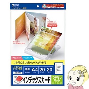 JP-IND8N サンワサプライ 2つ折りインデックスカード（薄手・つやなし