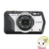 ꥳ ̳ѥǥ륫 RICOH G900 ɿ塦ɤѾ׷ ǥ빩̿ 컣