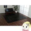 饰 ڥå ̵ ʤ ҥ  Ǻ Ҥ ֥å 200240cm IKE-5305580̵(̳ƻ졦Υ)