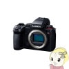 ǥ㥫 Panasonic ѥʥ˥å LUMIX DC-S5M2 ܥǥ DC-S5M2̵(̳ƻ졦Υ)