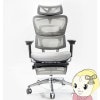 եڥ᡼ľCOFO Chair Premium 졼 FCC-XG  ǥ W660 D690 H11501220mm ڴ͹̵(Υ)