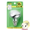 ڼ󤻡ܰ510Ķۥߥ˥յ 䥶 50W E17 RF501750̡