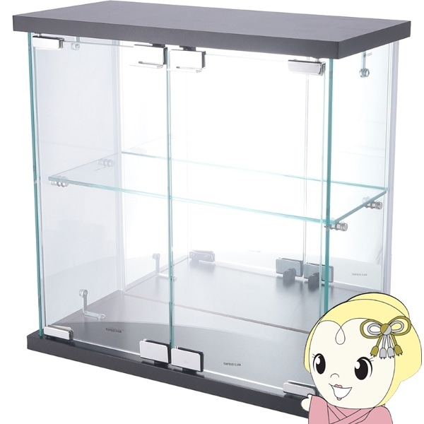 鑑定品用　卓上ディスプレイケース cc-5218pa.jpg