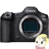 ڼ󤻡ܰ35Ķۥߥ顼쥹㥫 Υ Canon EOS R5 Mark II ܥǥ̡