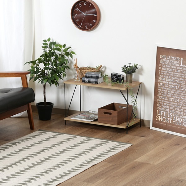 �����ץ��å� �����ץ󥷥���� �����ǰ� EZBO �磻�䡼��å� 2�� 60�� �ʥ����륪���� �������� ��Ω��ñ ������� FUJI-77559�������̡�