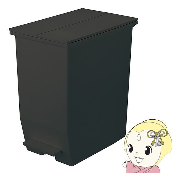 ゴミ箱 SOLOW ペダルオープンツイン ダストボックス 45L