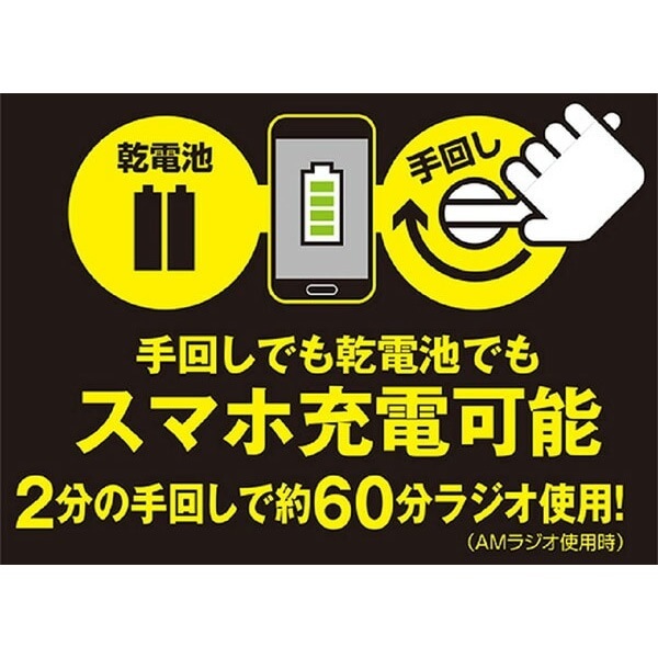 ��ޥ��� ����ꥪ�� ��󤷽��ť饸�� YTM-R100������̵��(�̳�ƻ�����졦Υ�����)��