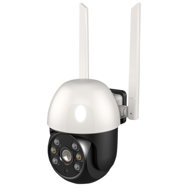 ȥ ޥۤǸ  ƻ ޡȥ ۥ磻 ֤ к ǧξ     α ڥå ɿ̵(̳ƻ졦Υ)