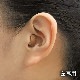 ߸ˤꡡİ ONKYO  ʷİ   ǥ  ץ쥼 󥭥硼 OHS-D21L̵(̳ƻ졦Υ)