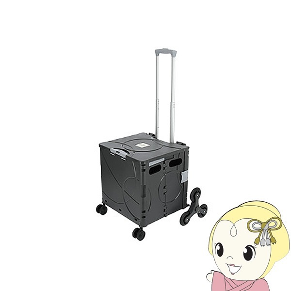 ߸˽ʬFLAT ɥեå ѥȥ꡼ Ranger 36L FR01-36L-DGR̵(̳ƻ졦Υ)